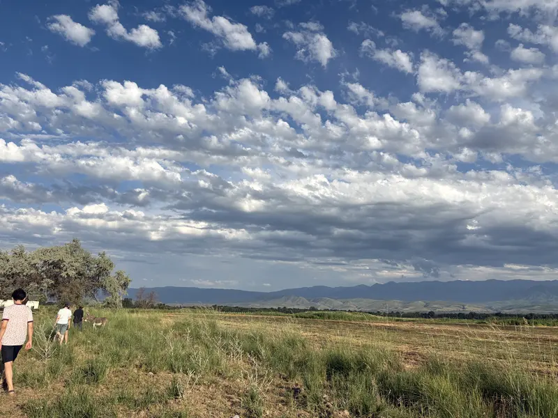 Steppe under a cloudy sky